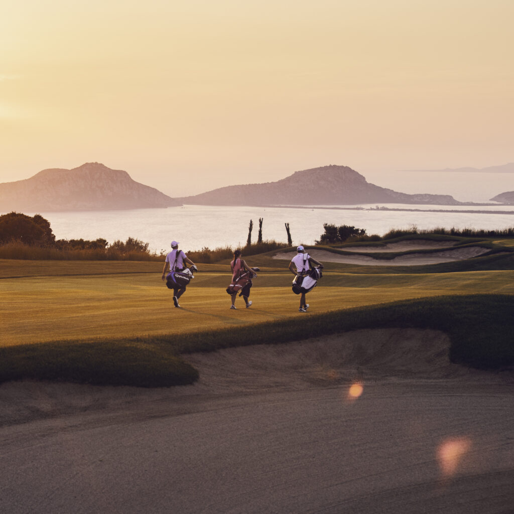 Elementor #19533