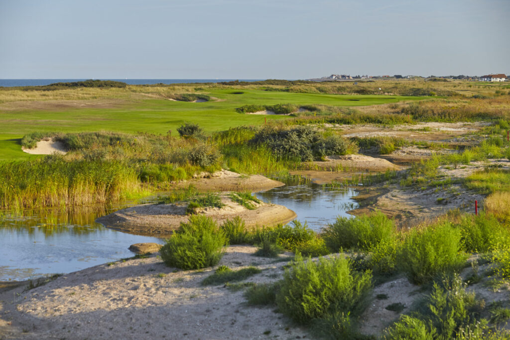 6th-Himalayas4989x3326 (1)