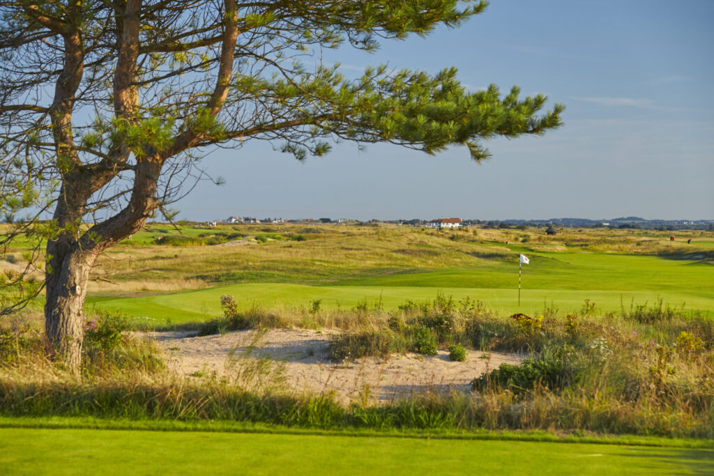 The-Lone-Pine4943x3295