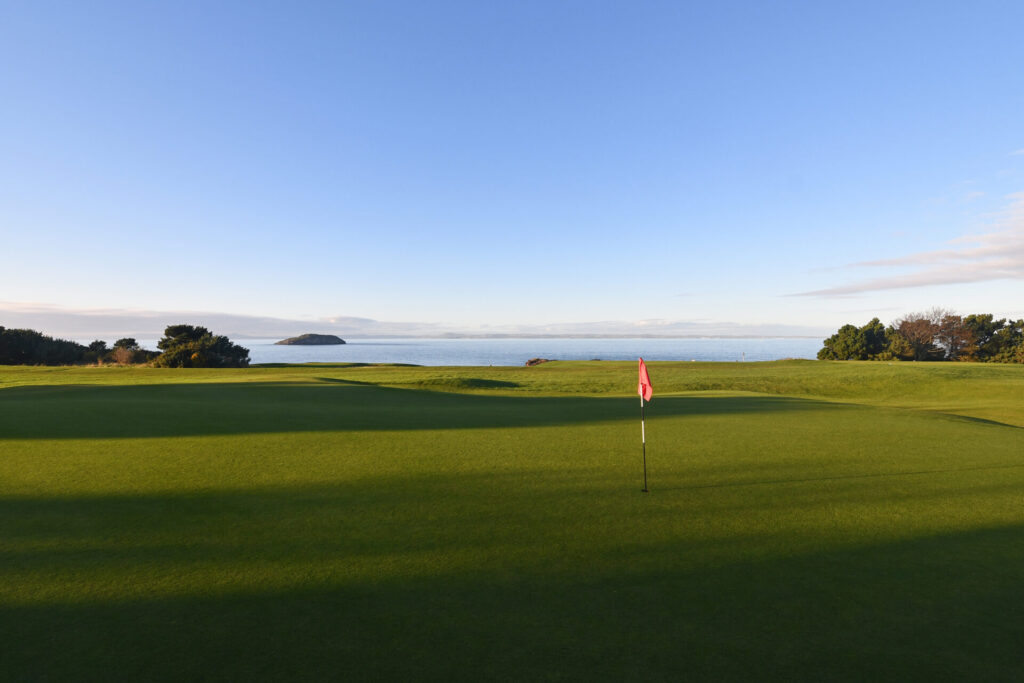 DSC_4773-4500x3000 - Copy - Copy - Copy