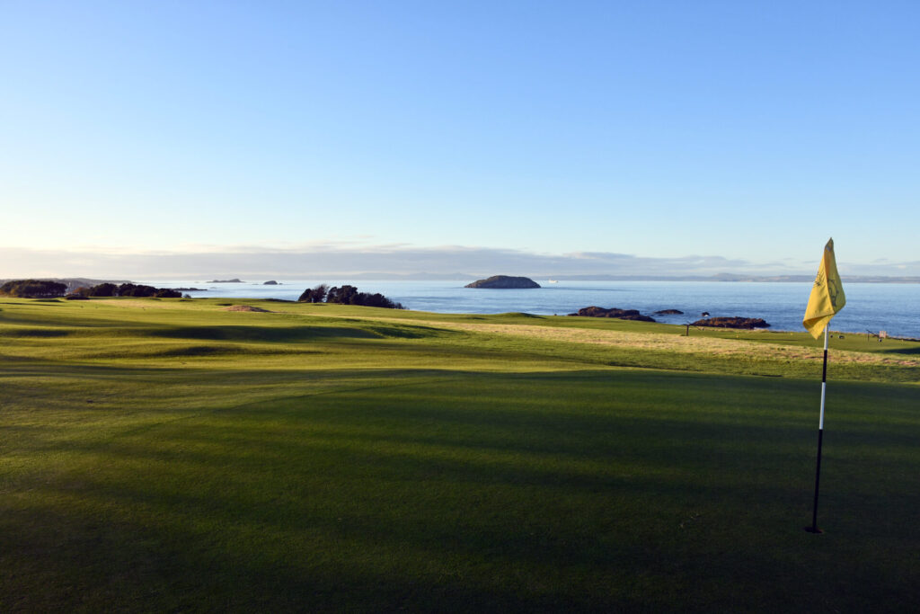 DSC_4796-4500x3000 - Copy - Copy - Copy