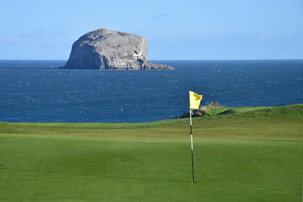 DSC_6214-4500x3000 - Copy - Copy