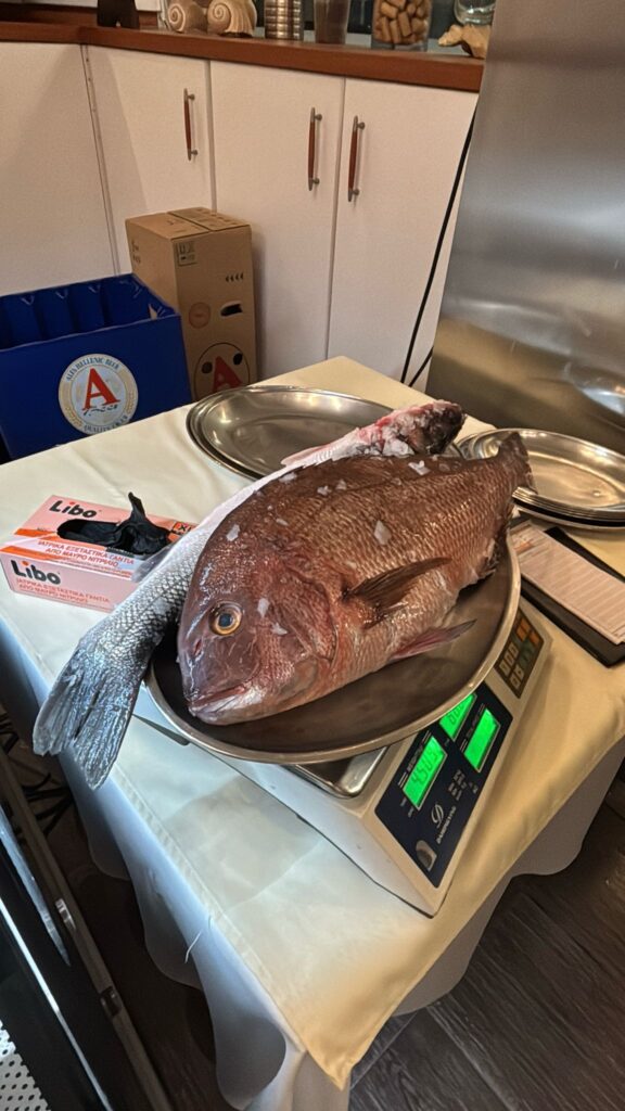 An Evening in Costa Navarino