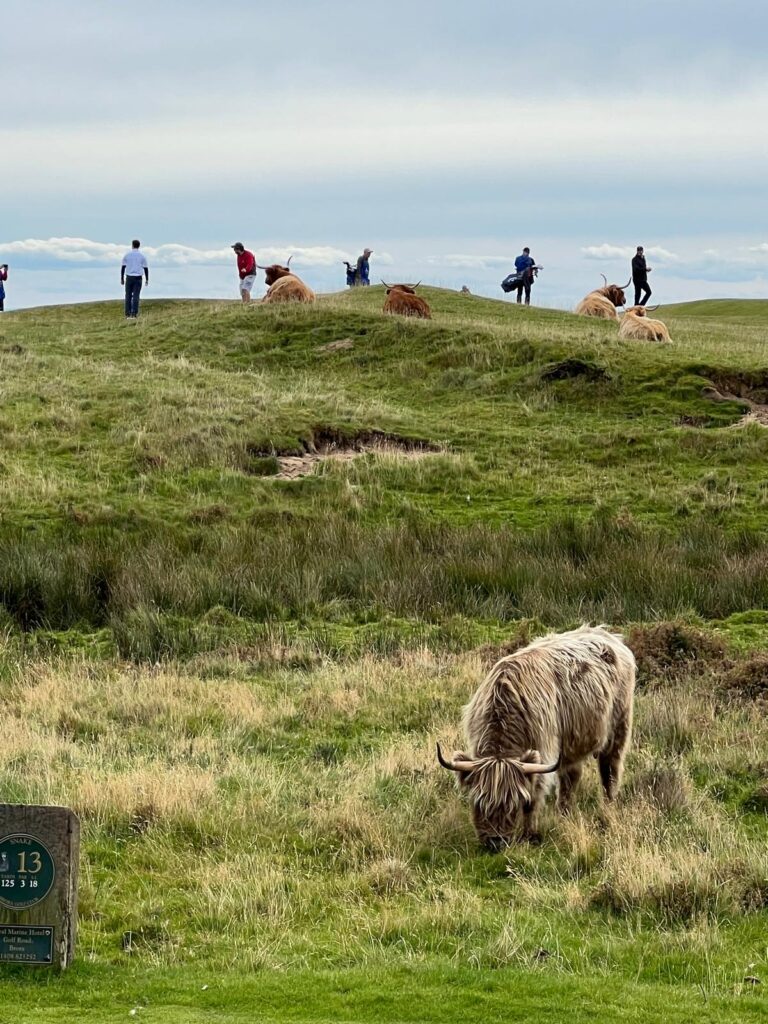 Why Every Golfer Talks About a Scotland Golf Trip, And Why Most Never Actually Take It