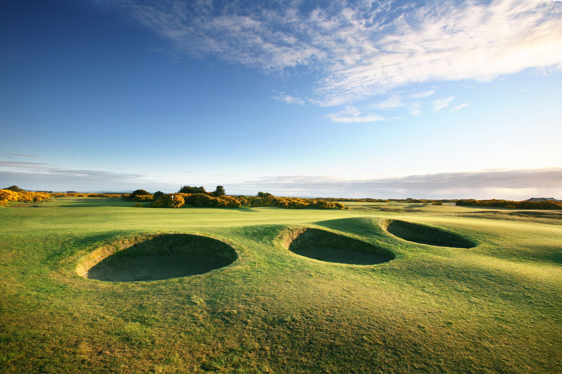 The New Course