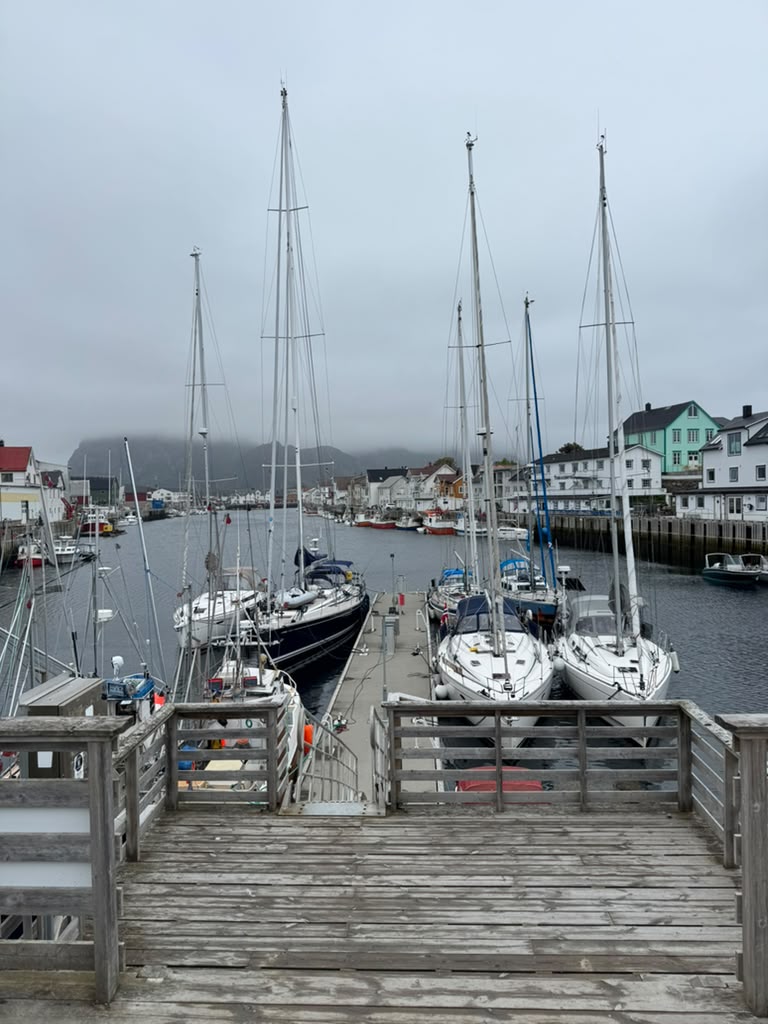 Conquers of Scandinavian Golf