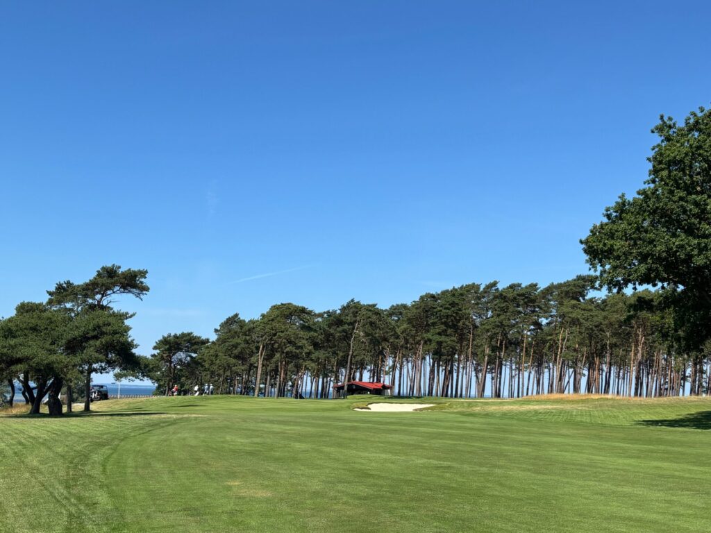 Conquers of Scandinavian Golf